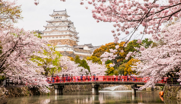 Подорожуй разом із SK Opika: ханамі – свято цвітіння сакури у Японії